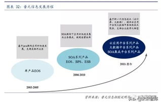 計(jì)算機(jī)行業(yè)專題 如何撬動(dòng)中間件市場(chǎng)國(guó)際領(lǐng)先者的奶酪——基礎(chǔ)軟件服務(wù)的破局之道